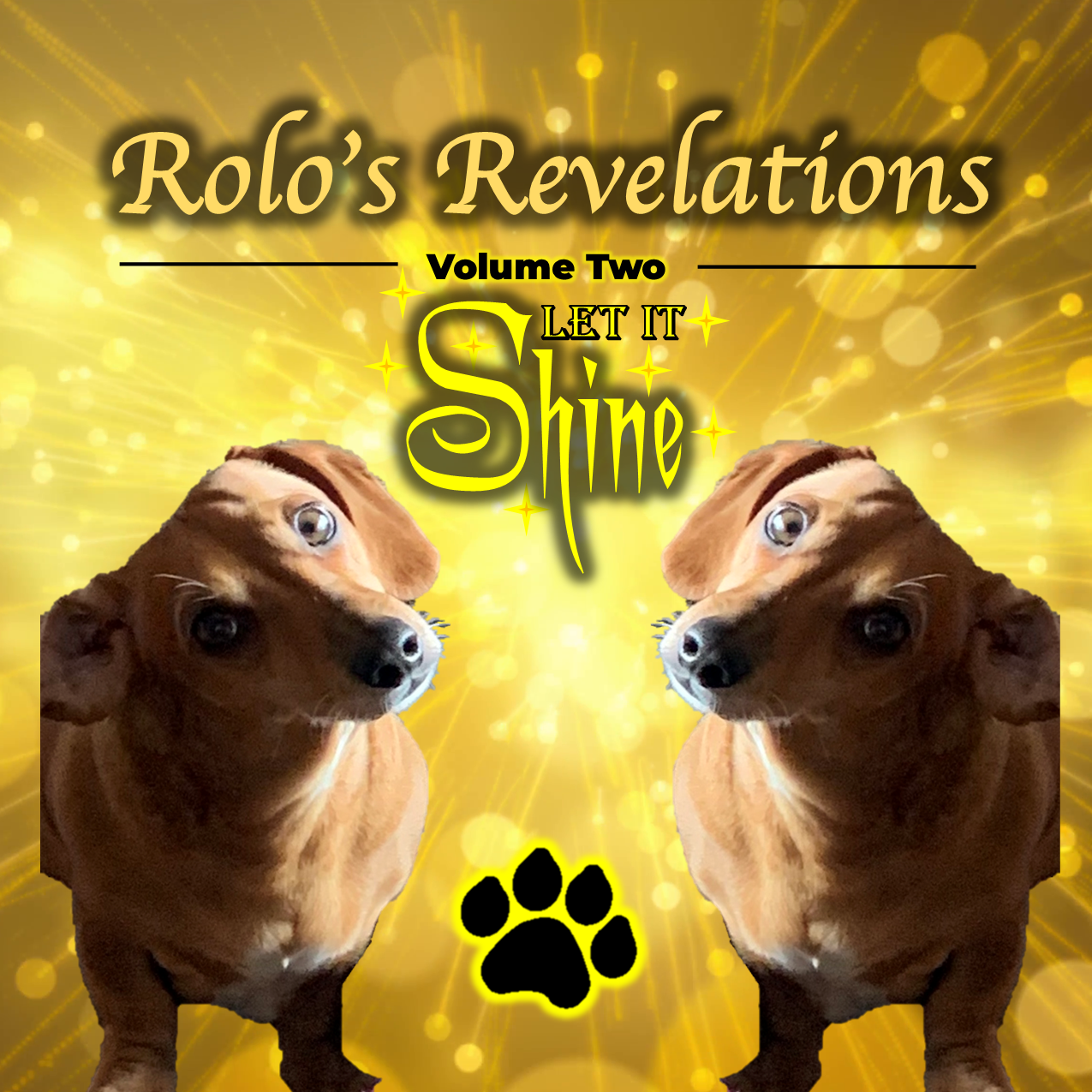 CD’s/Music – The Rolo Man